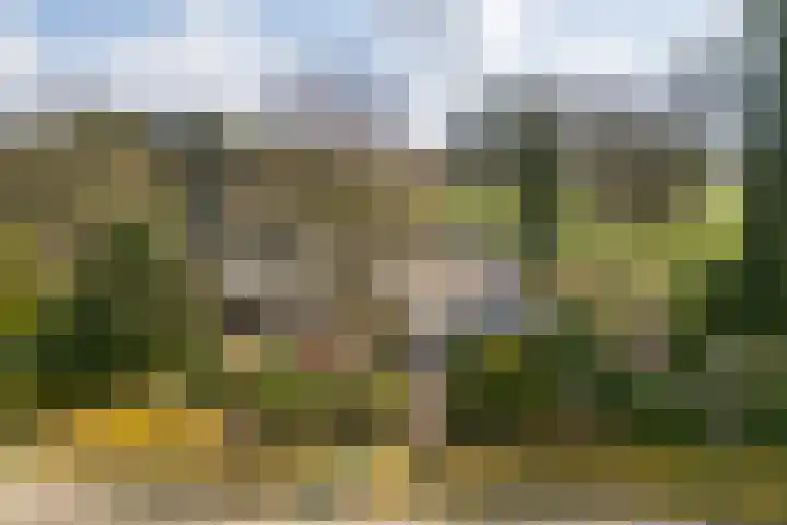Ermerzand 1 en Erm