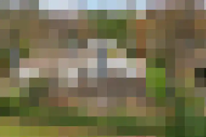 Ermerzand 101 in Erm