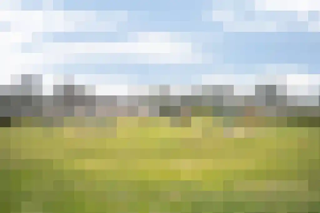 Ermerzand 110 Erm thumbnail 20