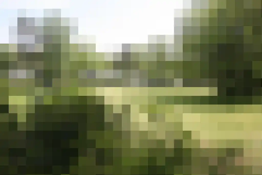 Ermerzand 110 Erm foto 3