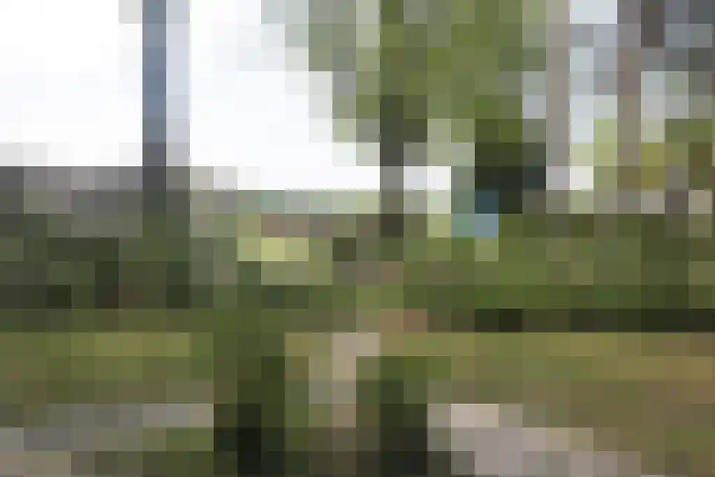 Ermerzand 110 Erm thumbnail 5