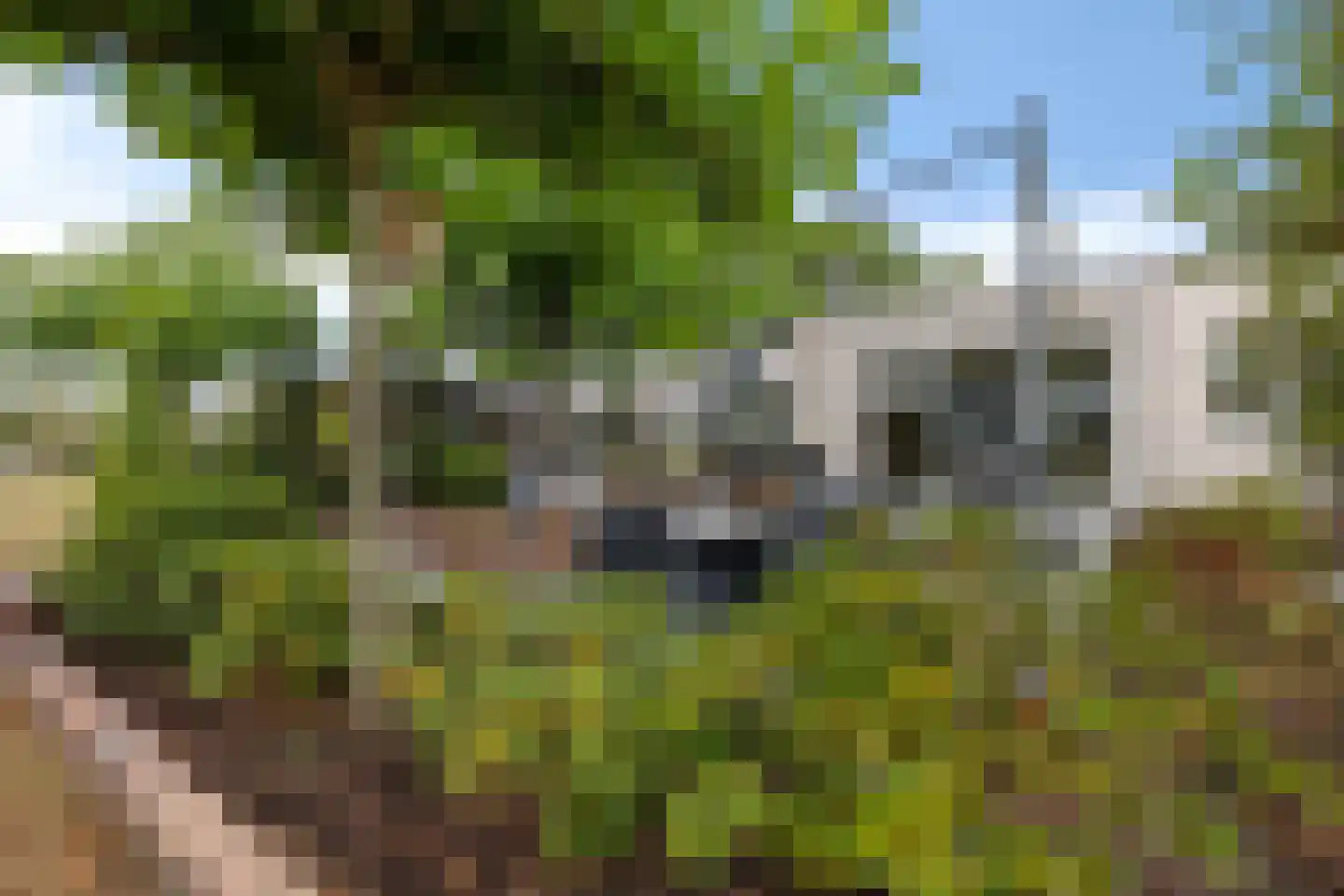 Ermerzand 146 Erm thumbnail 30