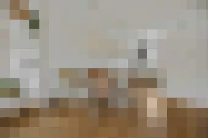 Ermerzand 16 Ede thumbnail 10