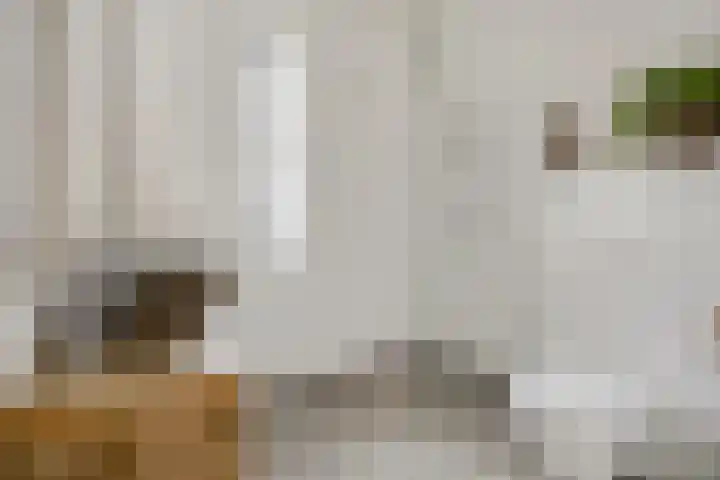 Ermerzand 16 Ede thumbnail 28