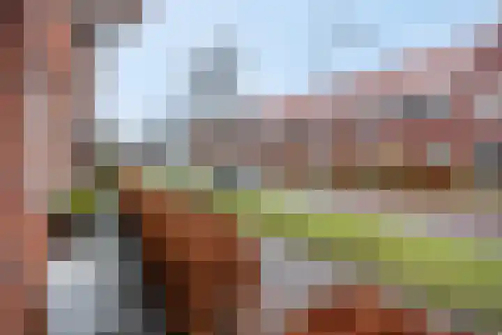 Ermerzand 16 Ede thumbnail 51