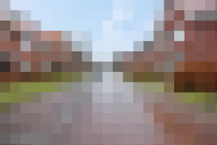 Ermerzand 16 Ede thumbnail 57