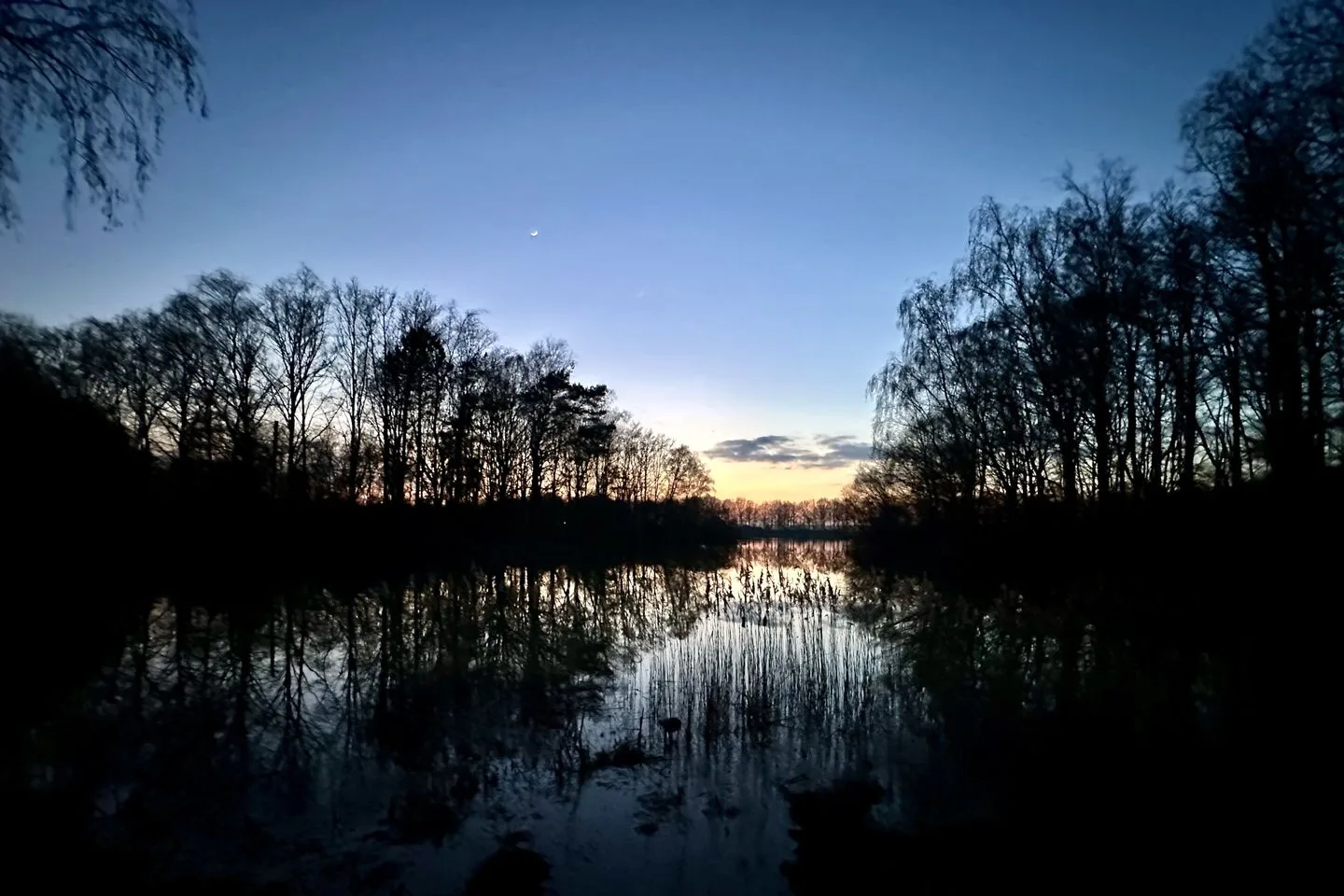 Ermerzand 165 Erm thumbnail 43