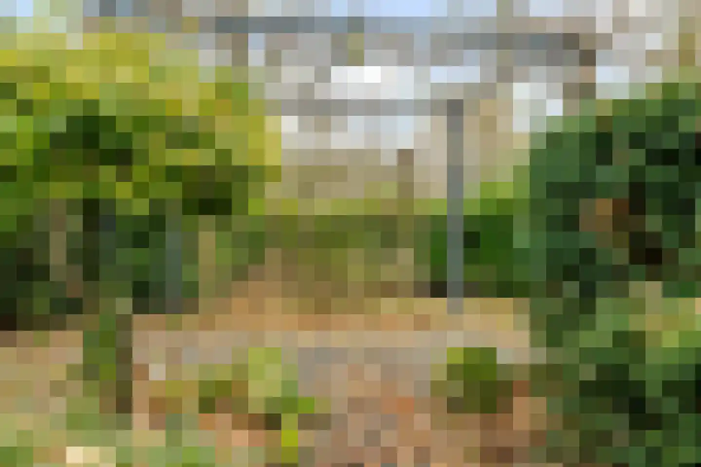 Ermerzand 170 Erm thumbnail 37