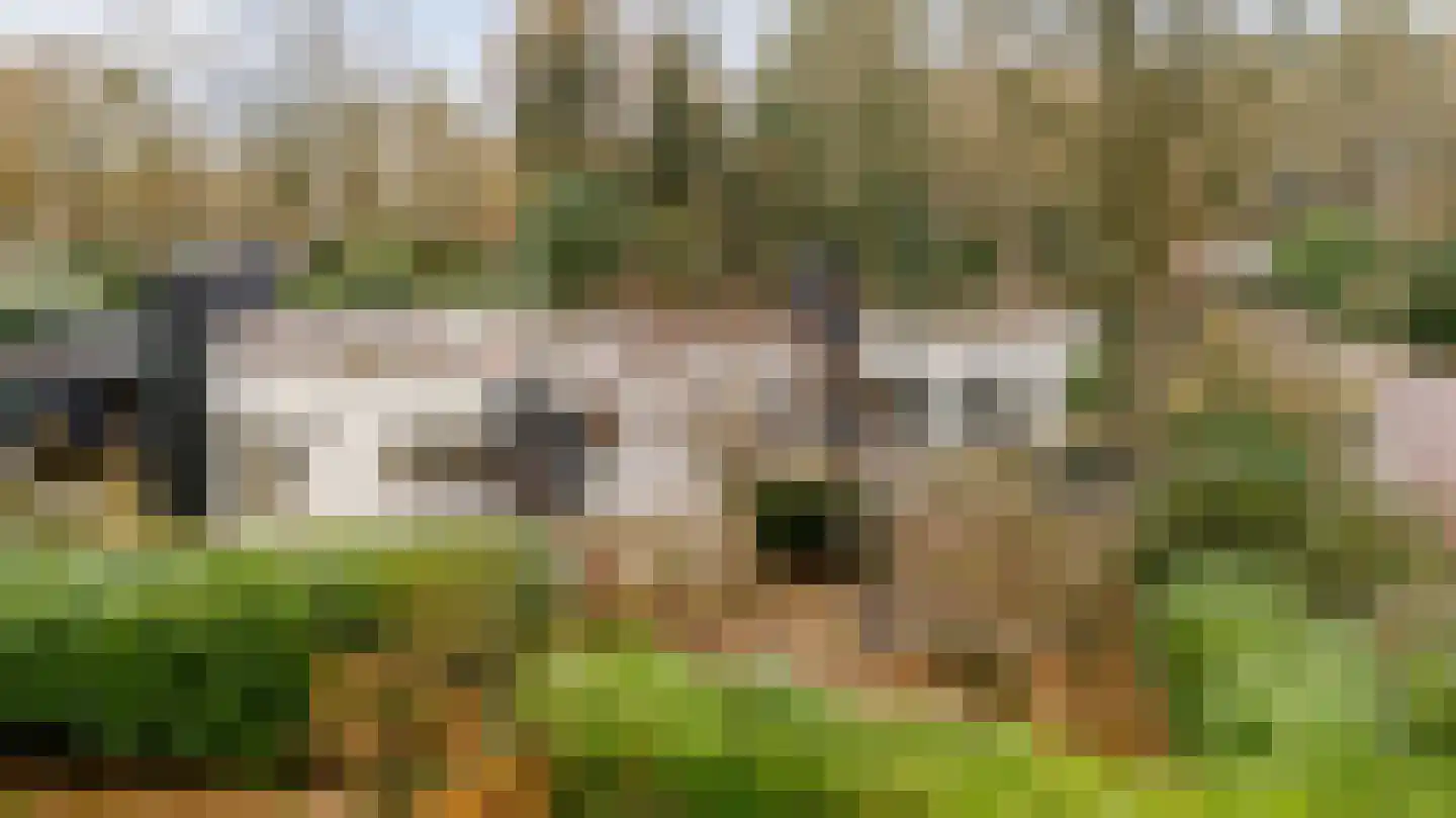 Ermerzand 170 Erm thumbnail 4