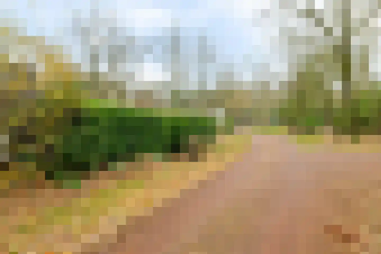 Ermerzand 170 Erm thumbnail 51
