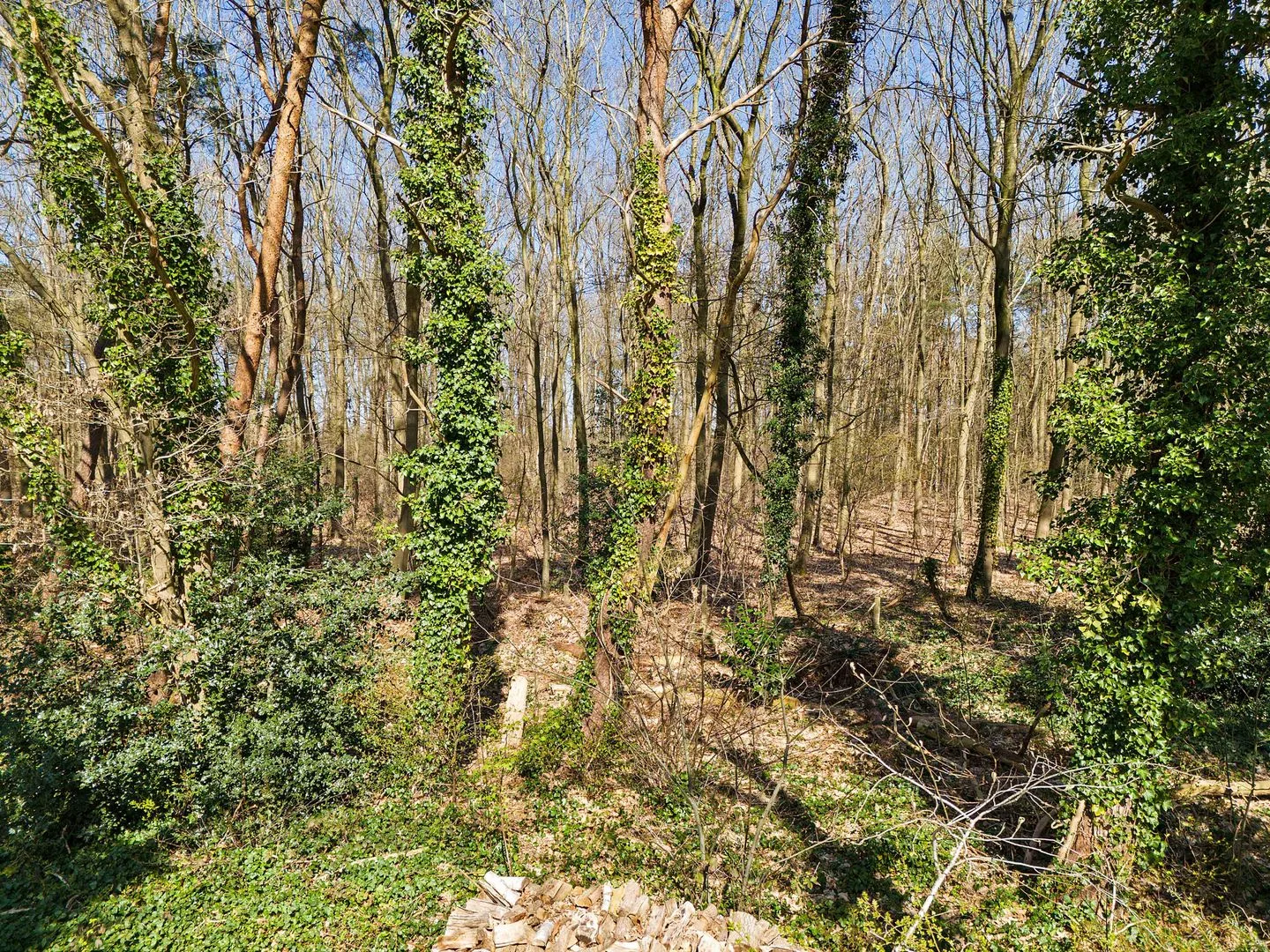Ermerzand 172 Erm thumbnail 53