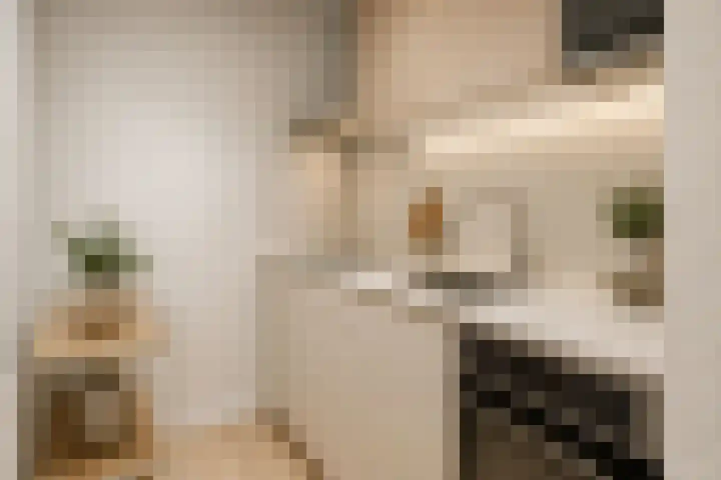 Ermerzand 49 Erm thumbnail 12