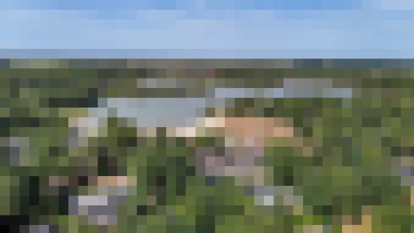 Ermerzand 49 Erm foto 3