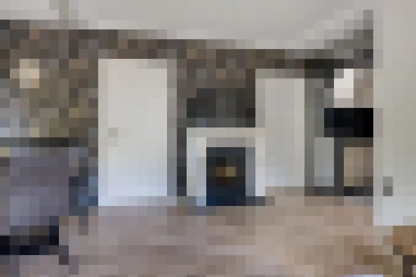 Ermerzand 76 Erm thumbnail 10