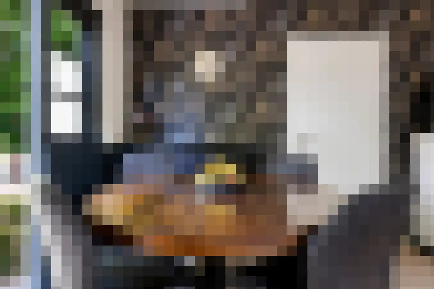 Ermerzand 76 Erm thumbnail 18