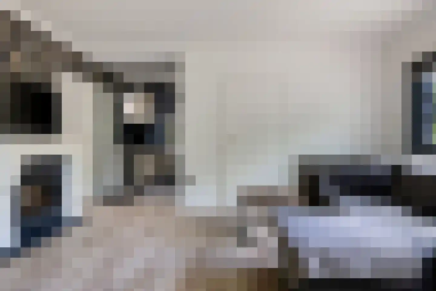 Ermerzand 76 Erm thumbnail 21