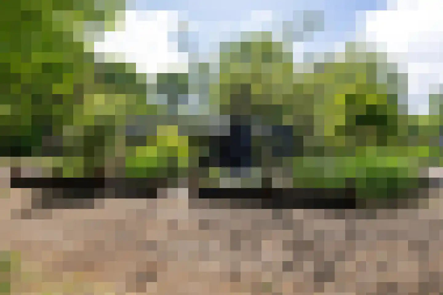 Ermerzand 76 Erm thumbnail 34