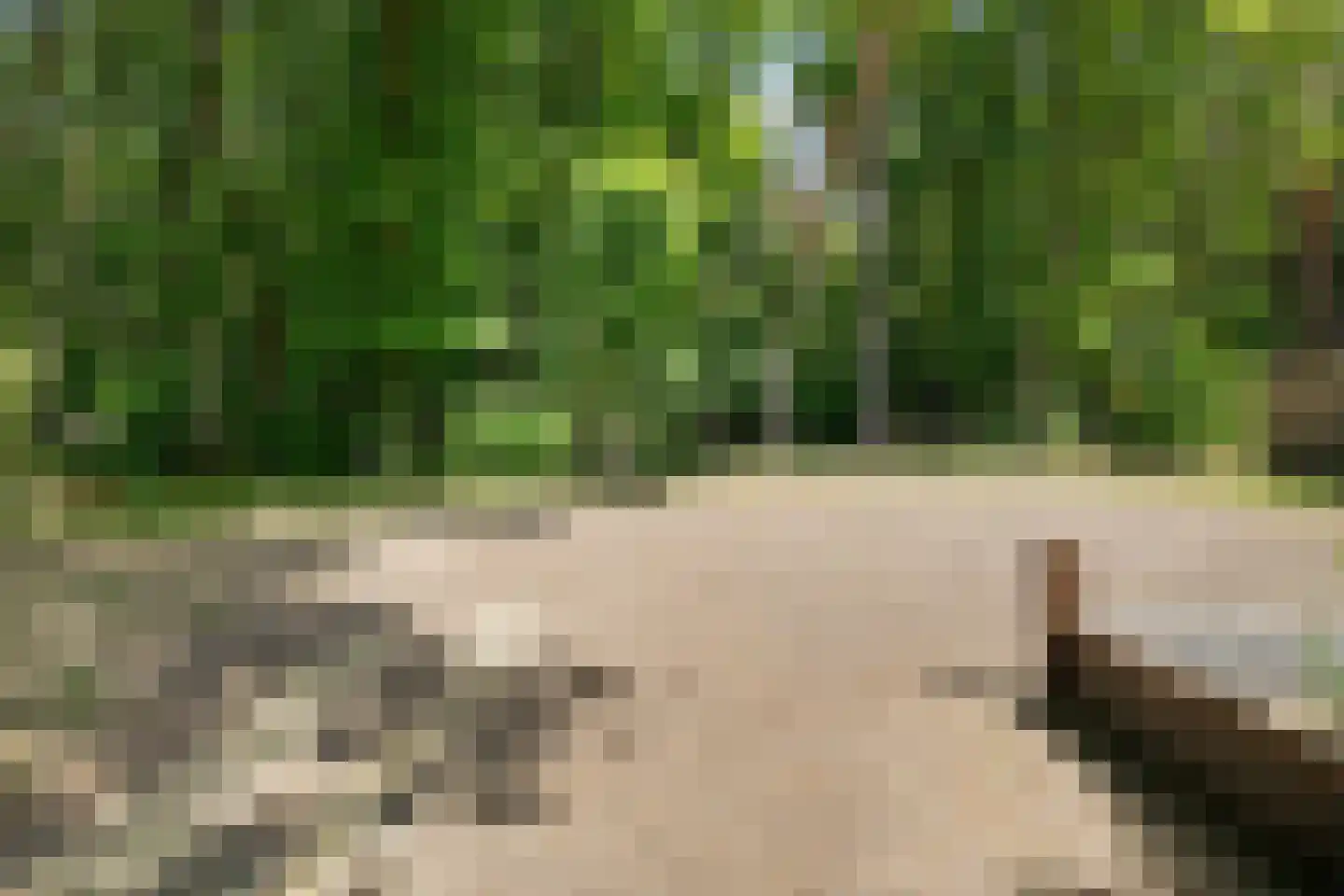 Ermerzand 76 Erm thumbnail 36