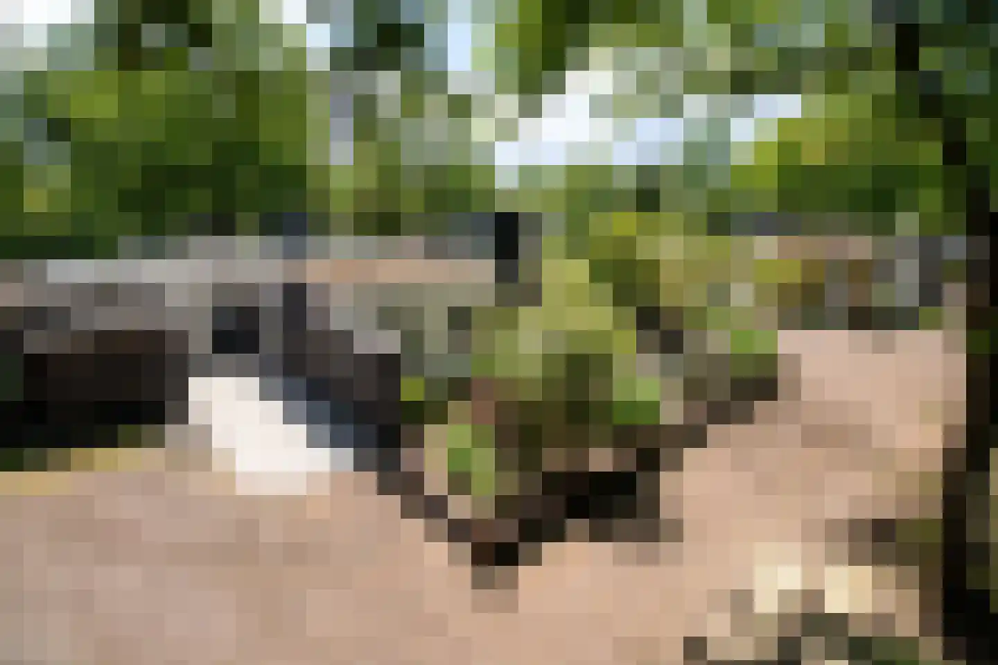Ermerzand 76 Erm thumbnail 37