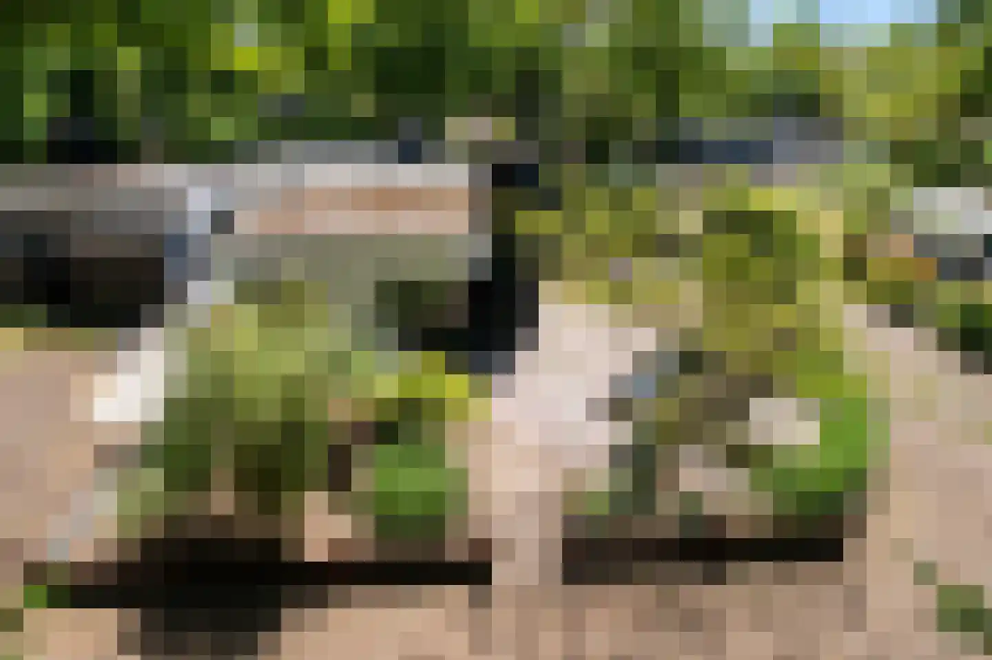 Ermerzand 76 Erm thumbnail 39
