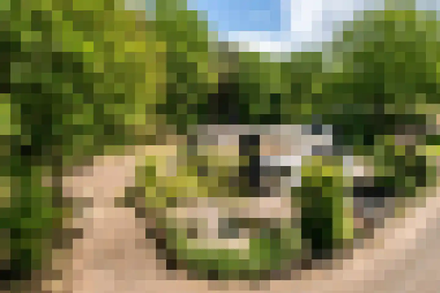 Ermerzand 76 Erm thumbnail 40