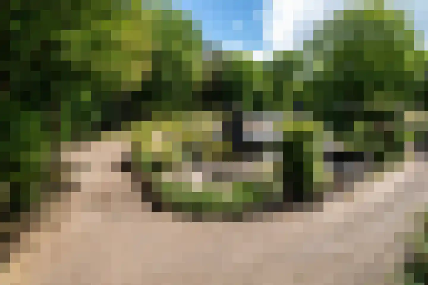 Ermerzand 76 Erm thumbnail 41