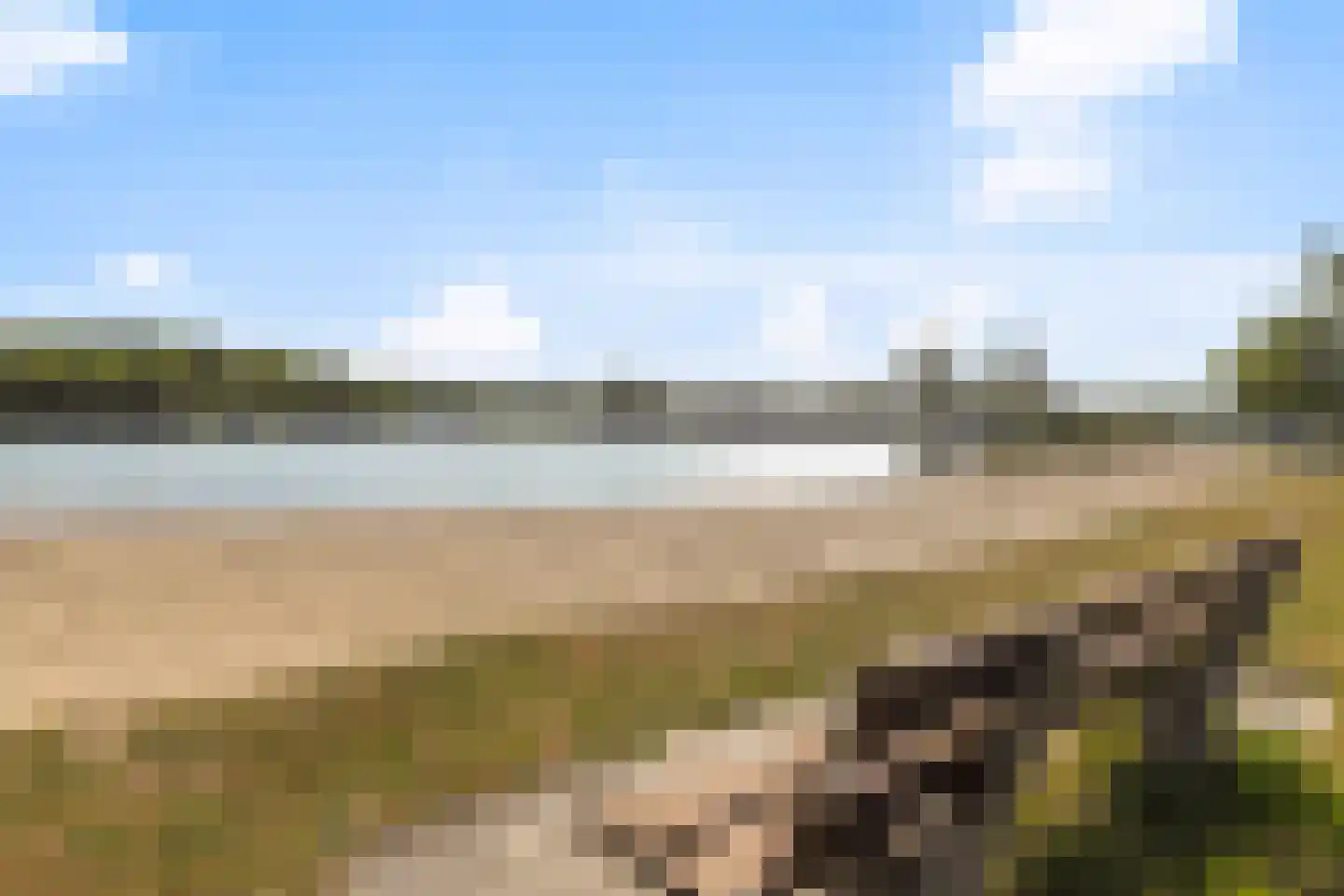 Ermerzand 76 Erm thumbnail 5