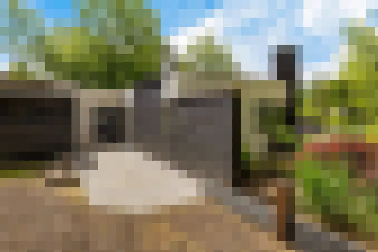 Ermerzand 76 Erm thumbnail 6