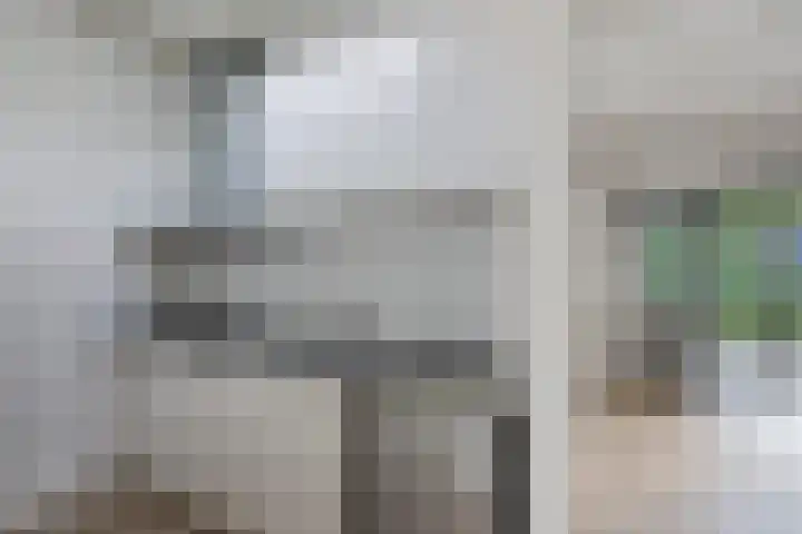 Ermerzand 87 Erm thumbnail 14