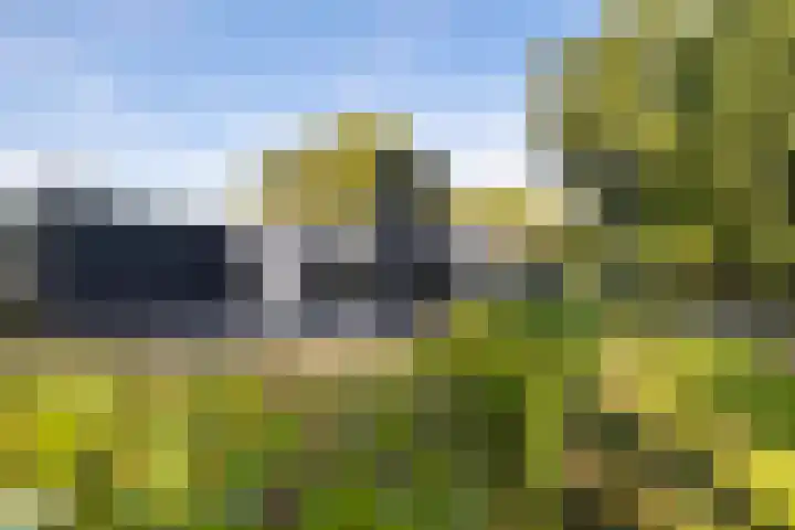 Ermerzand 87 Erm thumbnail 21