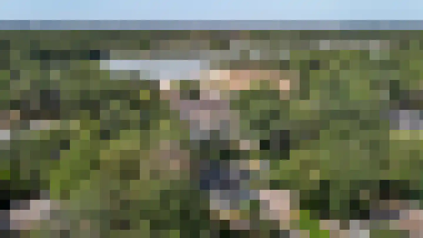 Ermerzand 90 Erm thumbnail 4