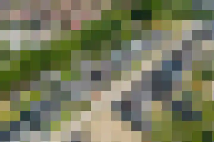 Ermgardhoek 13 Helmond thumbnail 10