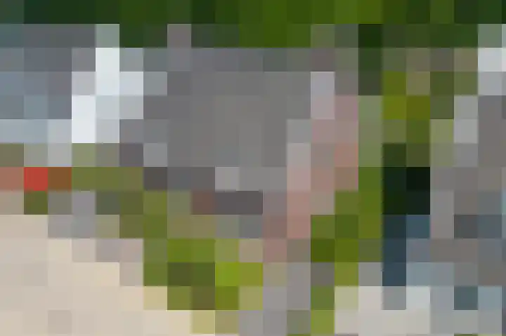 Ermgardhoek 13 Helmond thumbnail 15