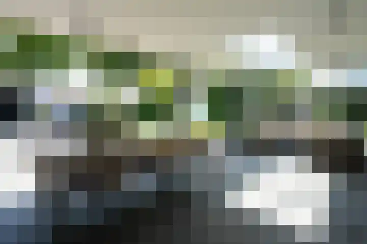 Ermgardhoek 13 Helmond thumbnail 5
