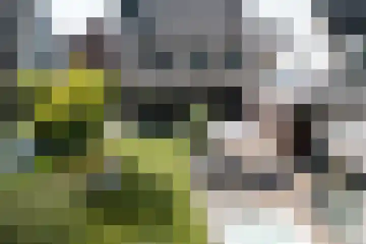 Ermgardhoek 13 Helmond thumbnail 56