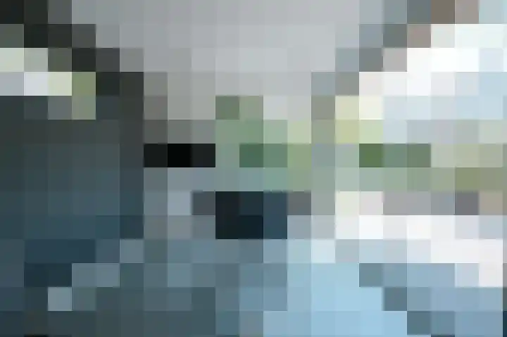 Ermgardhoek 13 Helmond thumbnail 67
