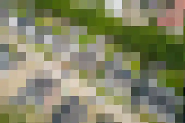 Ermgardhoek 13 Helmond thumbnail 75