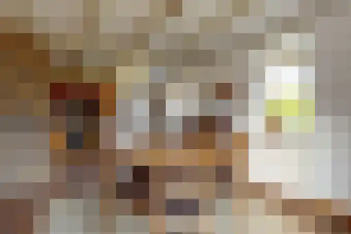 Ermgardlaan 8 Blokker thumbnail 14