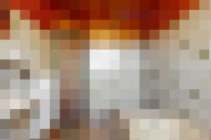 Ermgardlaan 8 Blokker thumbnail 30