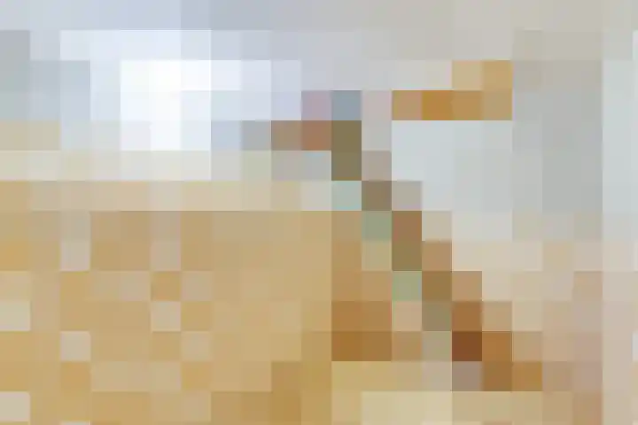 Ermgardlaan 8 Blokker thumbnail 35