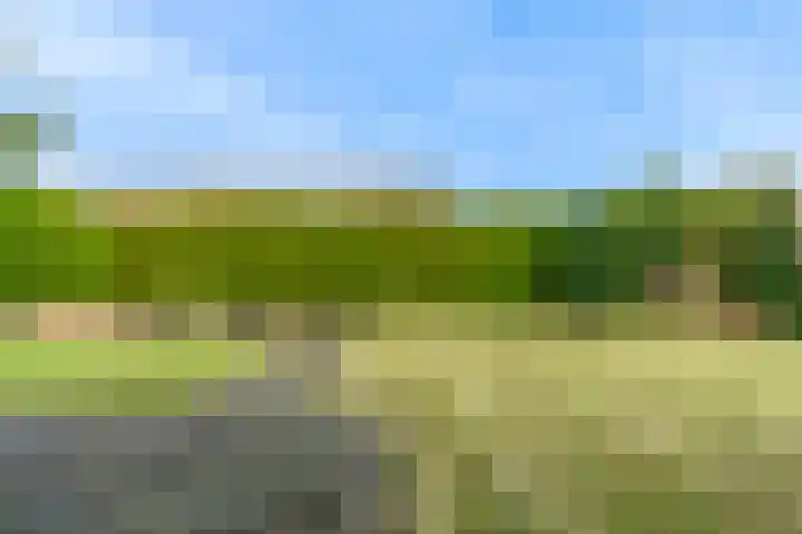 Ermgardlaan 8 Blokker thumbnail 49