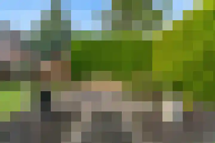 Ermgardlaan 8 Blokker thumbnail 51