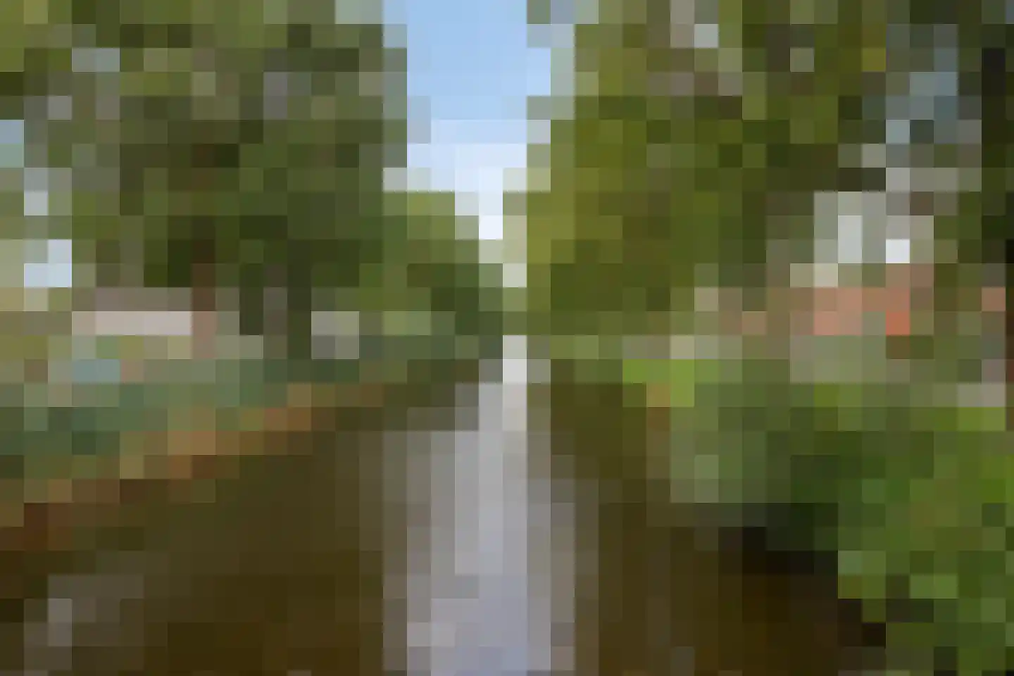 Ermione 5 Krimpen aan den IJssel thumbnail 25