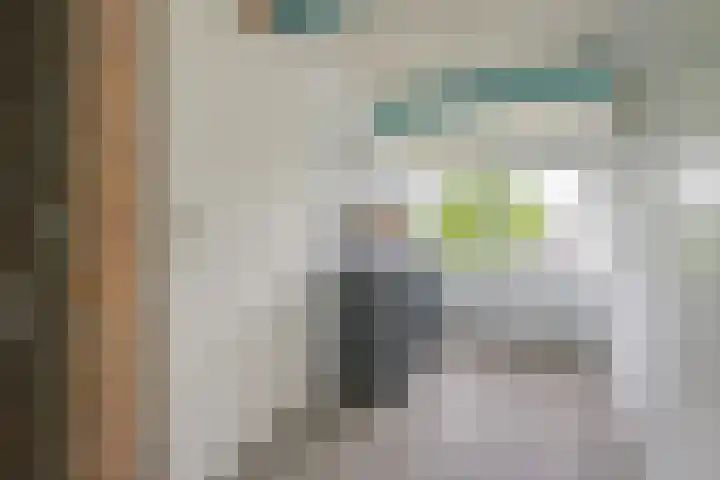 Ermontstraat 20 Wierden thumbnail 19