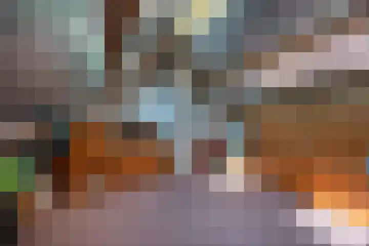 Ermontstraat 20 Wierden thumbnail 22