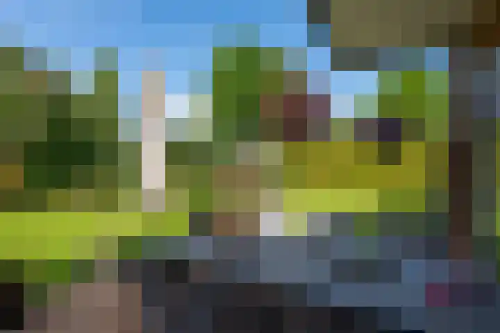 Ermontstraat 20 Wierden thumbnail 23