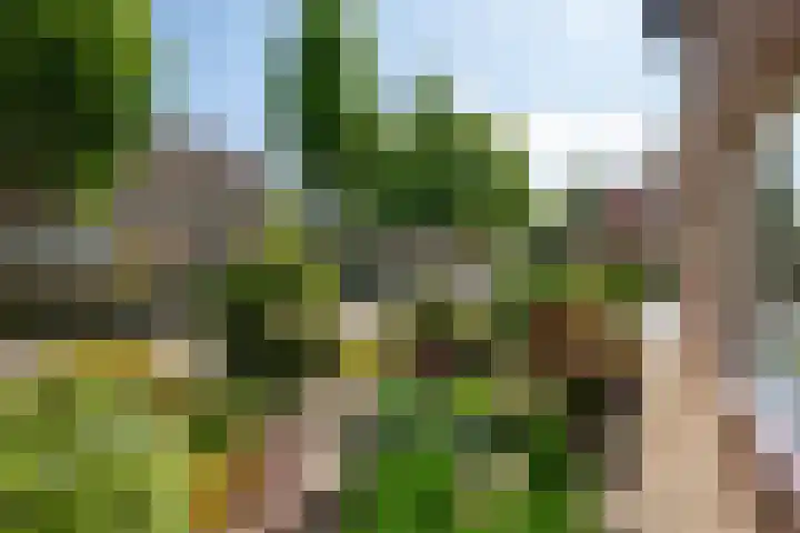 Ermontstraat 20 Wierden thumbnail 28