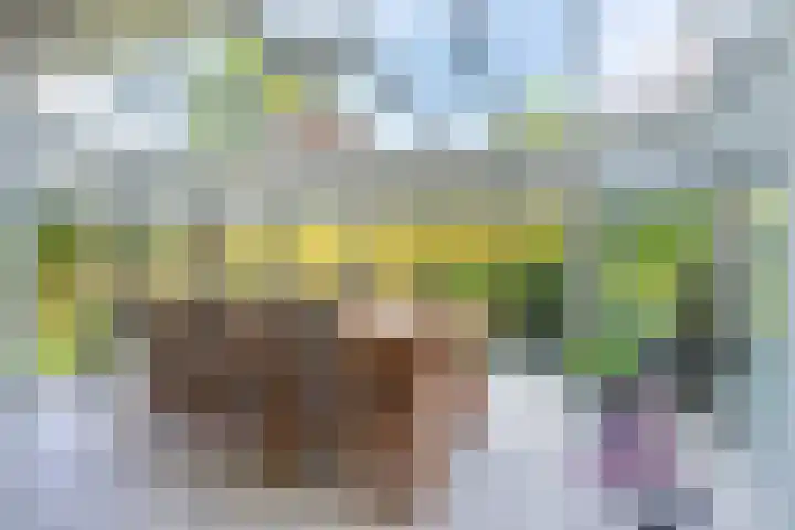 Ermontstraat 20 Wierden thumbnail 7