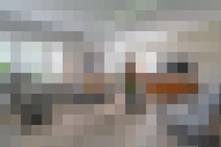 Ermontstraat 20 Wierden thumbnail 9