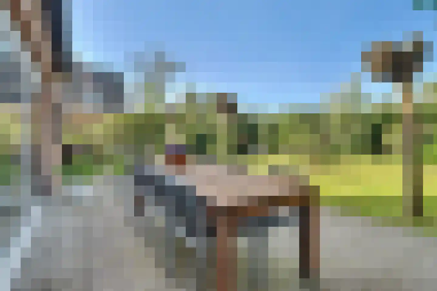 Ernest Claeshof 2 Hilvarenbeek thumbnail 33
